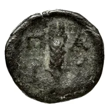 coin rev