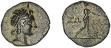coin rev