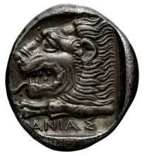 coin rev