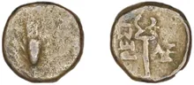 coin obv