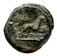 coin rev