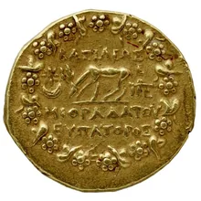 coin rev