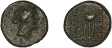coin rev