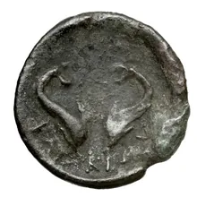 coin rev