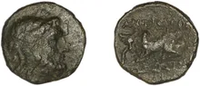 coin rev