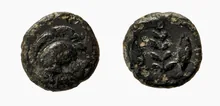coin obv