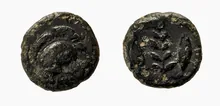 coin rev