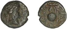 coin rev