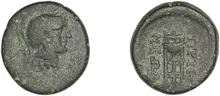 coin rev