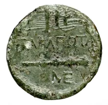 coin rev
