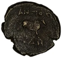coin rev
