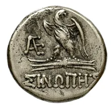 coin rev