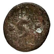 coin rev
