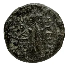 coin rev