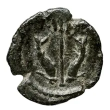 coin rev