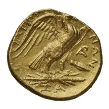 coin rev