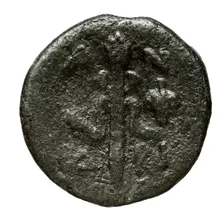 coin rev