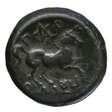 coin rev