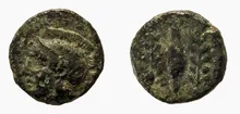 coin rev