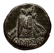 coin rev