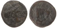 coin rev