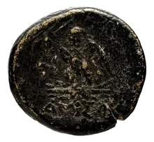 coin rev