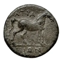coin rev