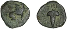 coin rev