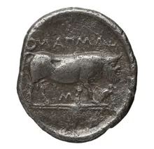 'Campani' rev