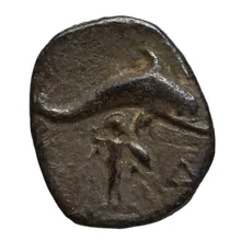 coin rev