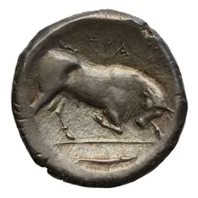 coin rev