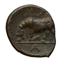 coin rev