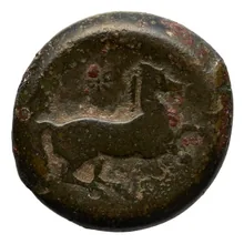 coin rev