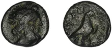 coin rev