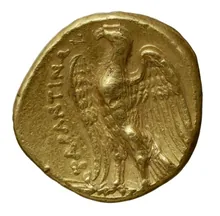 coin rev