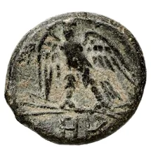 coin rev