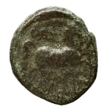coin rev