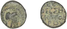 coin rev