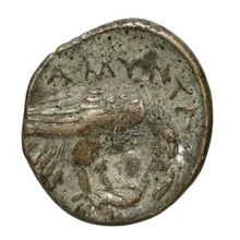 coin rev