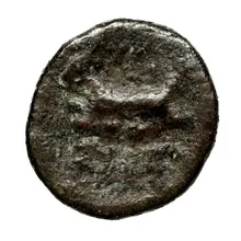 coin rev