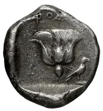 coin rev
