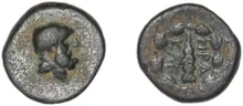 coin rev
