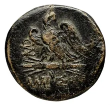 coin rev