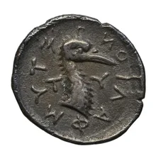 coin rev
