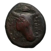 coin rev