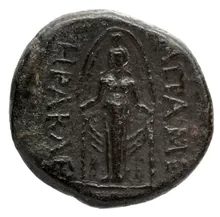 coin rev