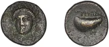 coin rev