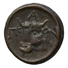 coin rev
