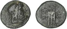 coin rev