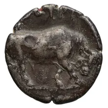 coin rev